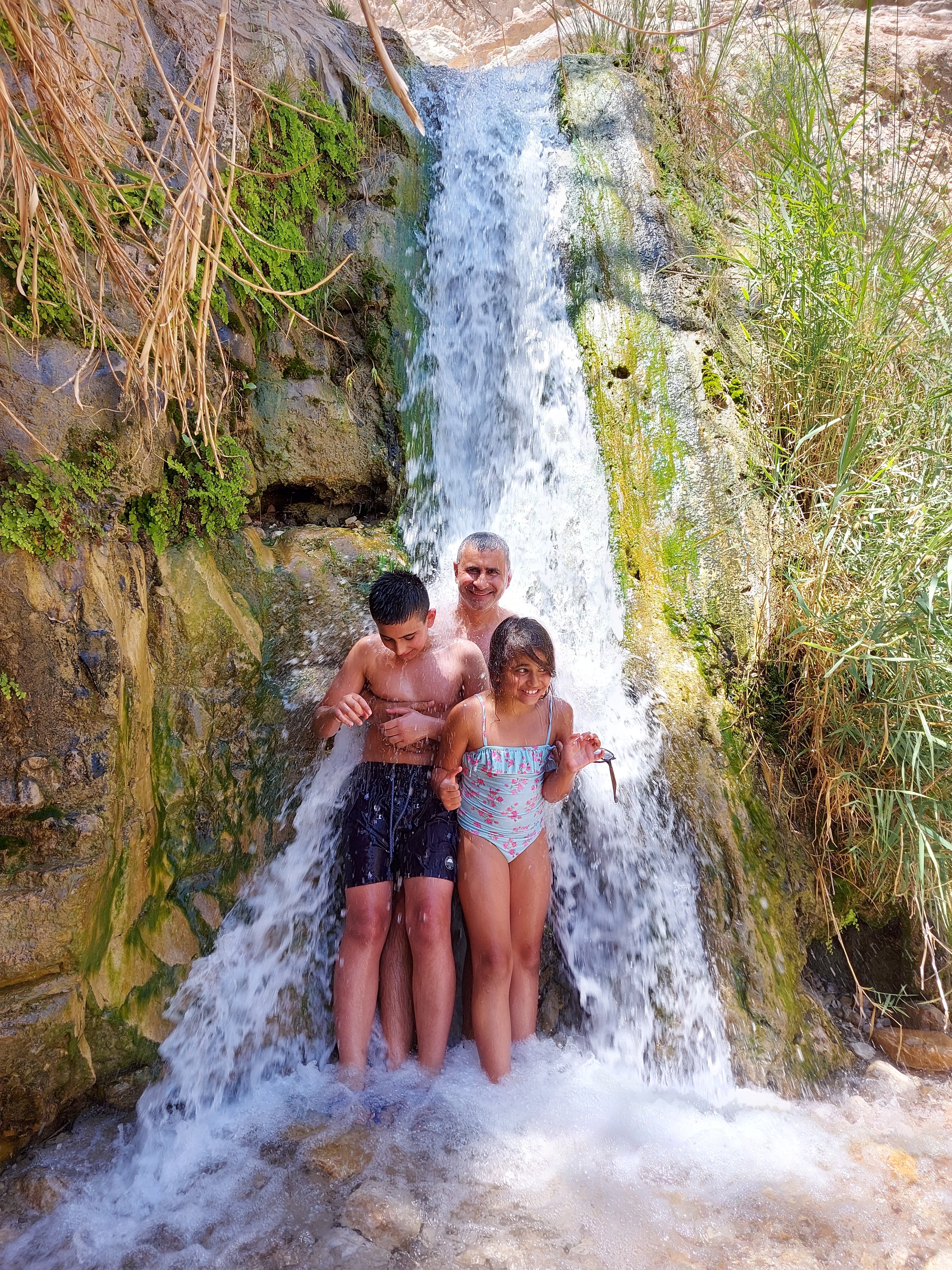 שמורת עין גדי