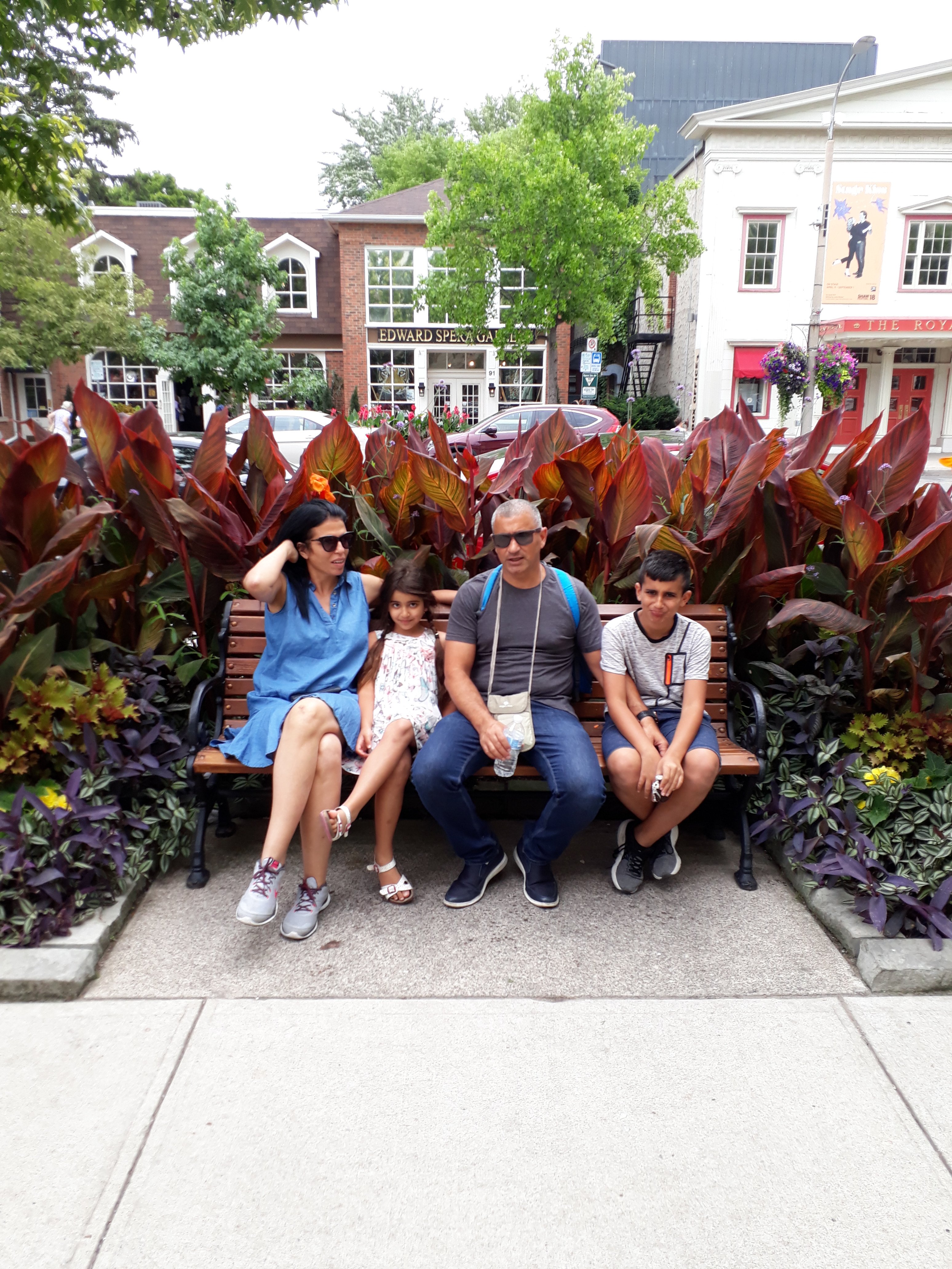 הון דה לייק