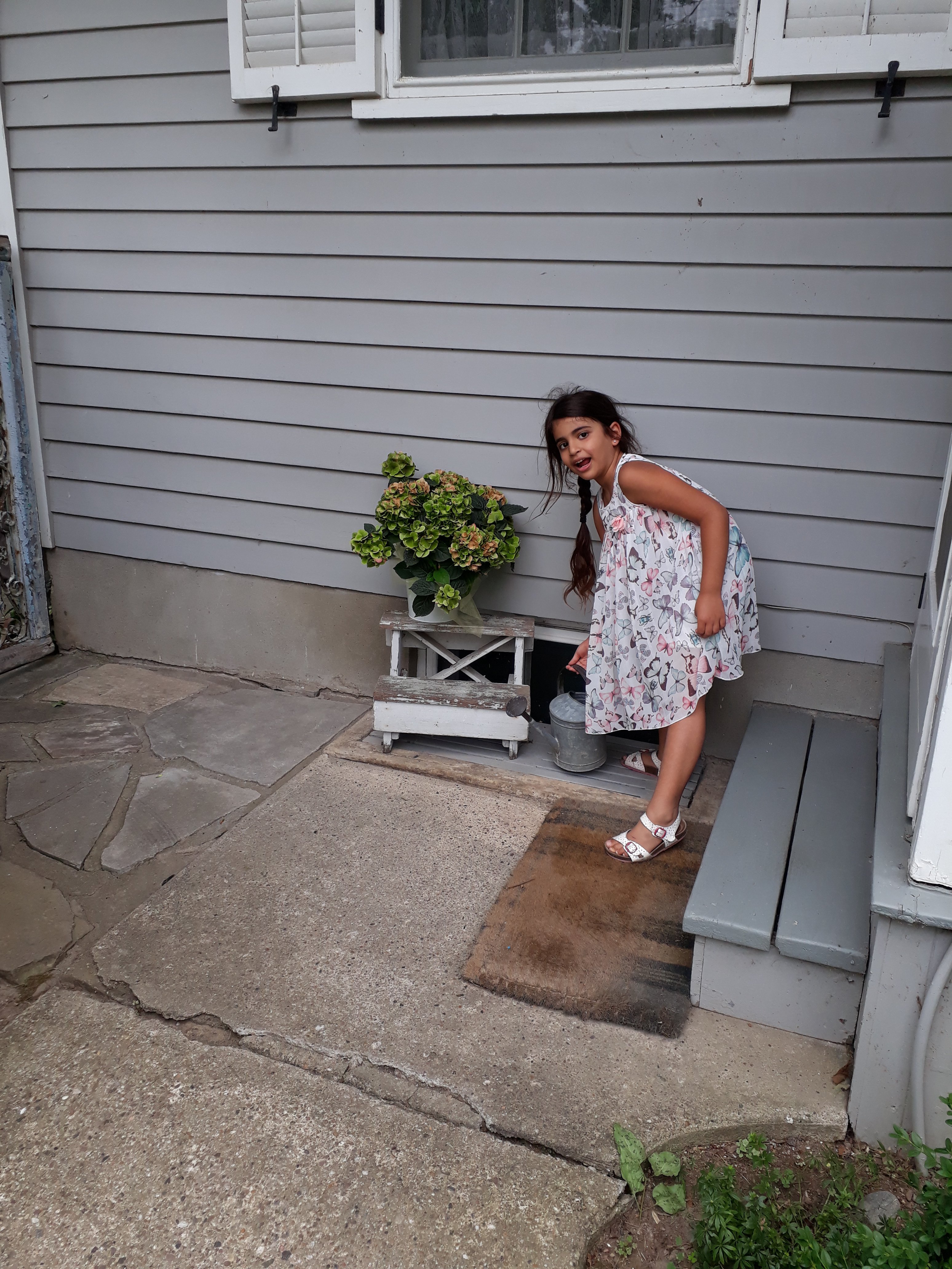 ניאגרה הון דה לייק