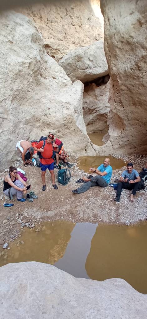 טיול רגלי נחל צאלים&nbsp;תחתון